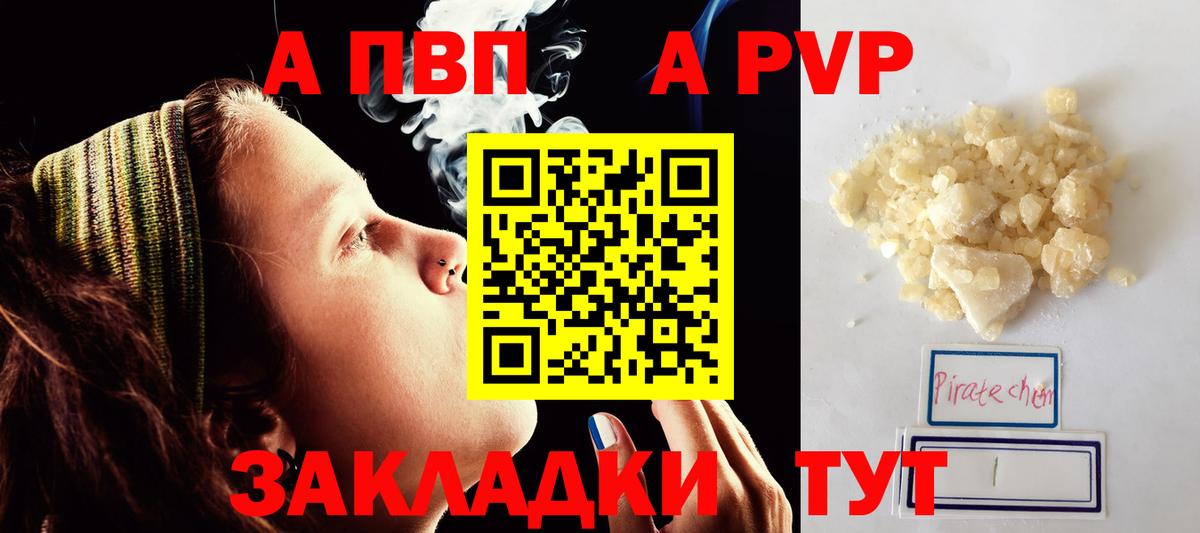 Альфа ПВП СК КРИС Майкоп
